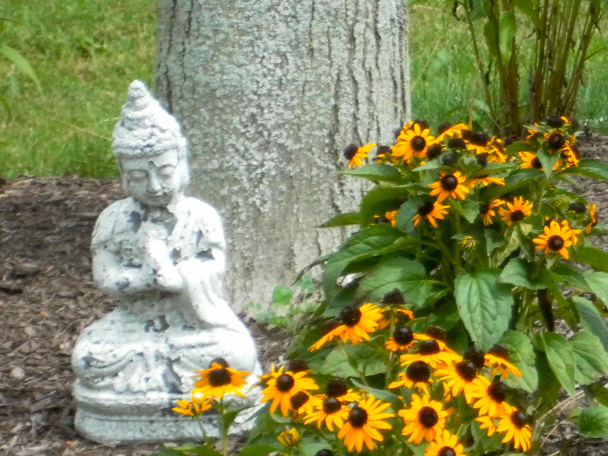 Polarity Center of Syracuse