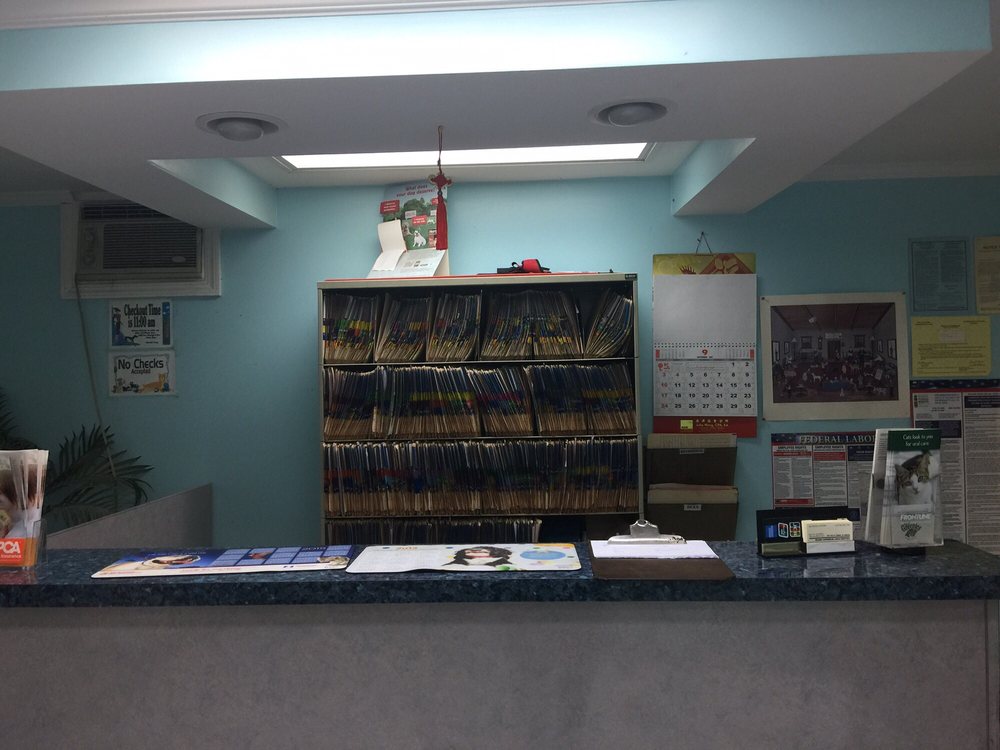 College Point Veterinary Center