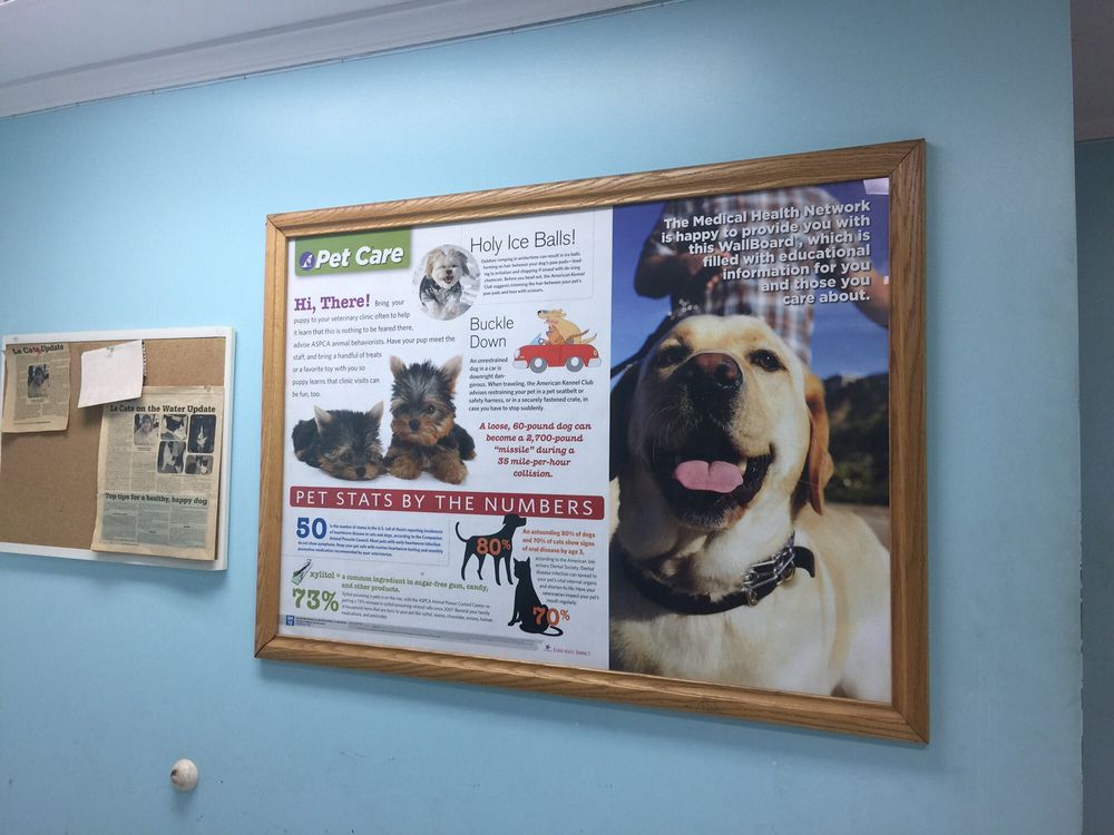 College Point Veterinary Center