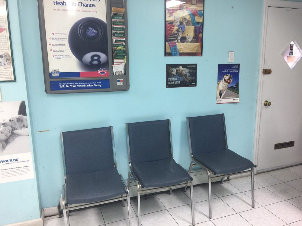 College Point Veterinary Center