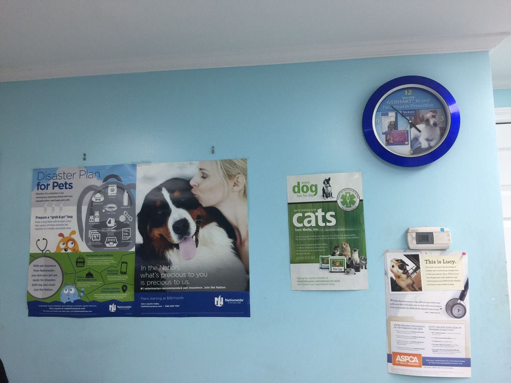 College Point Veterinary Center