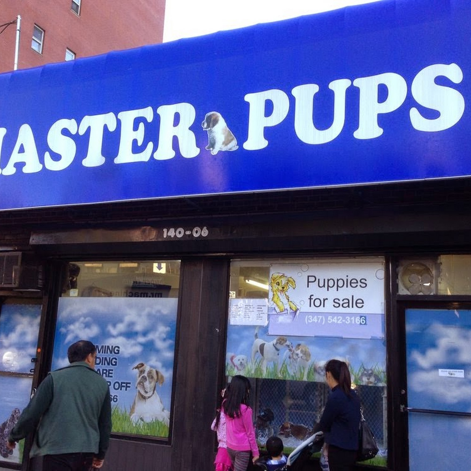 Master Pups Flushing