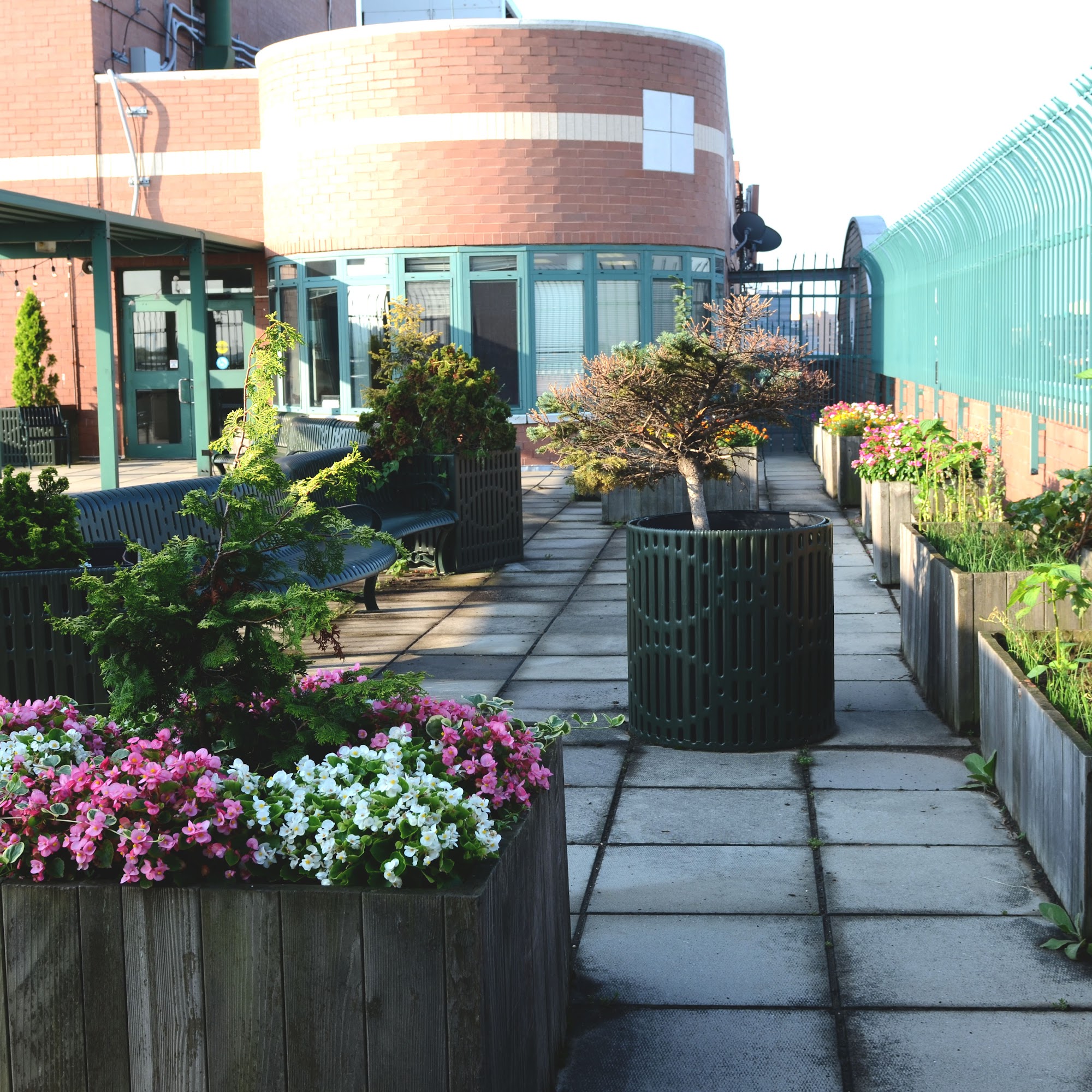 Union Plaza Care Center 33-23 Union St, Flushing New York 11354