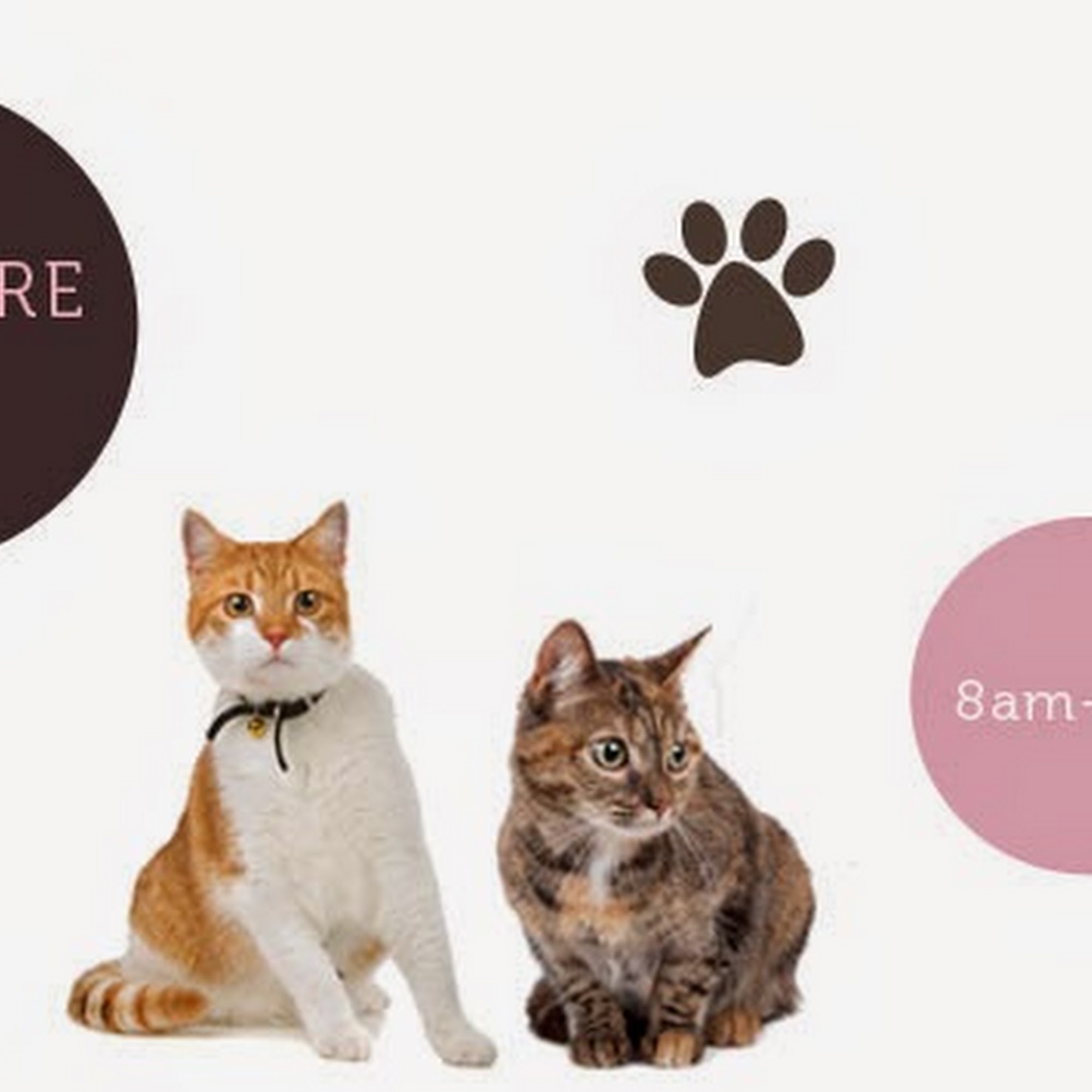 Le Pitou Boutique and Spa Forest Hills