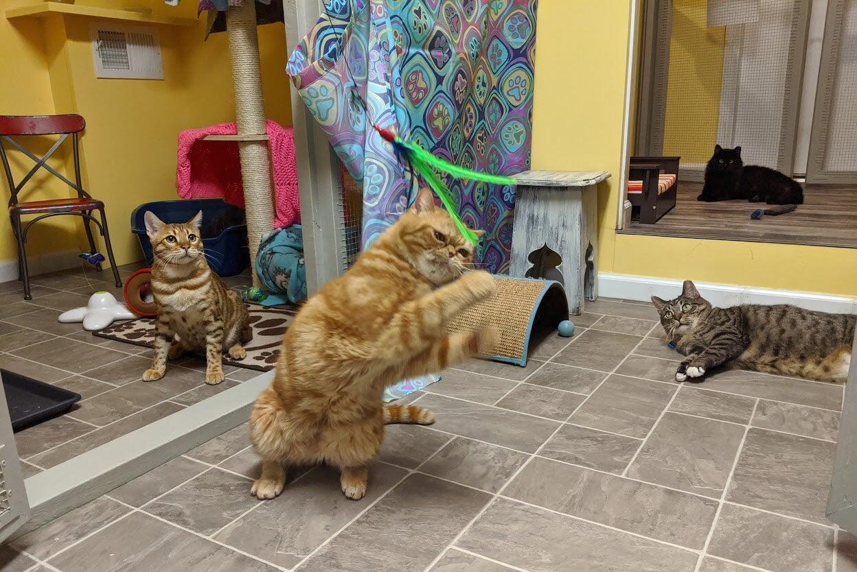 Photo credit: nextdoor