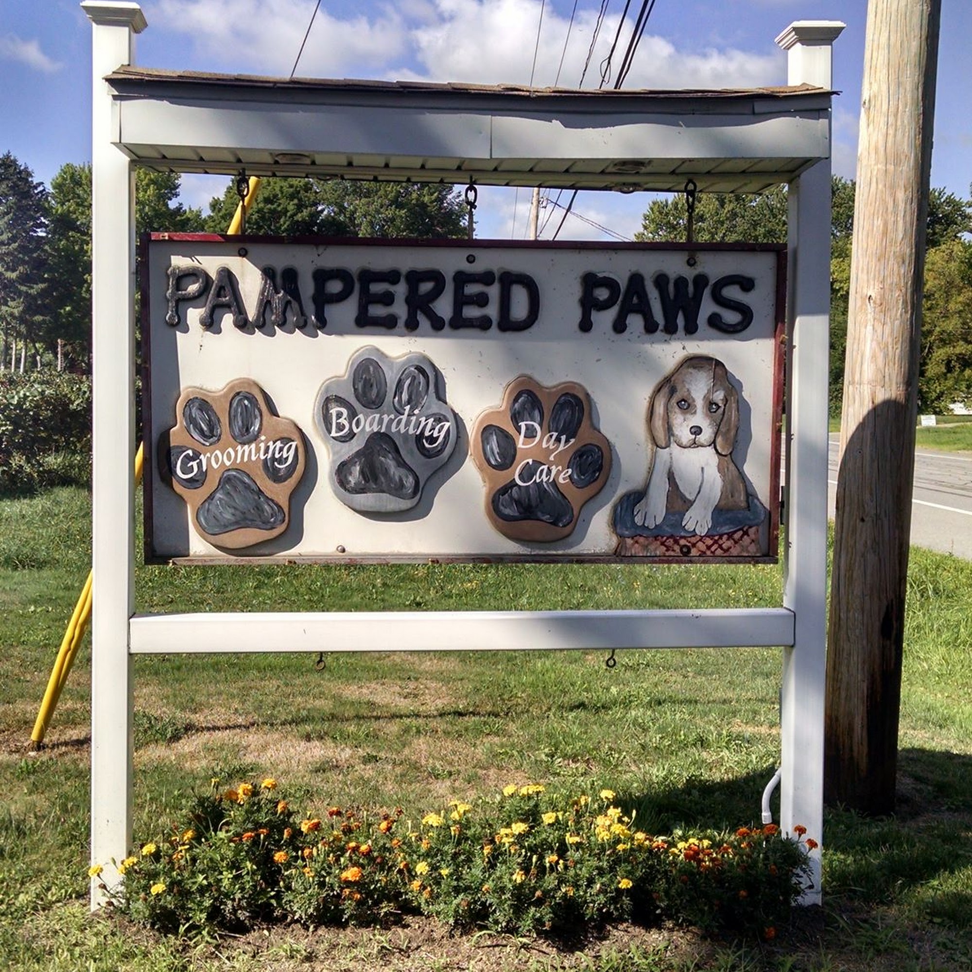 Pampered Paws Fredonia