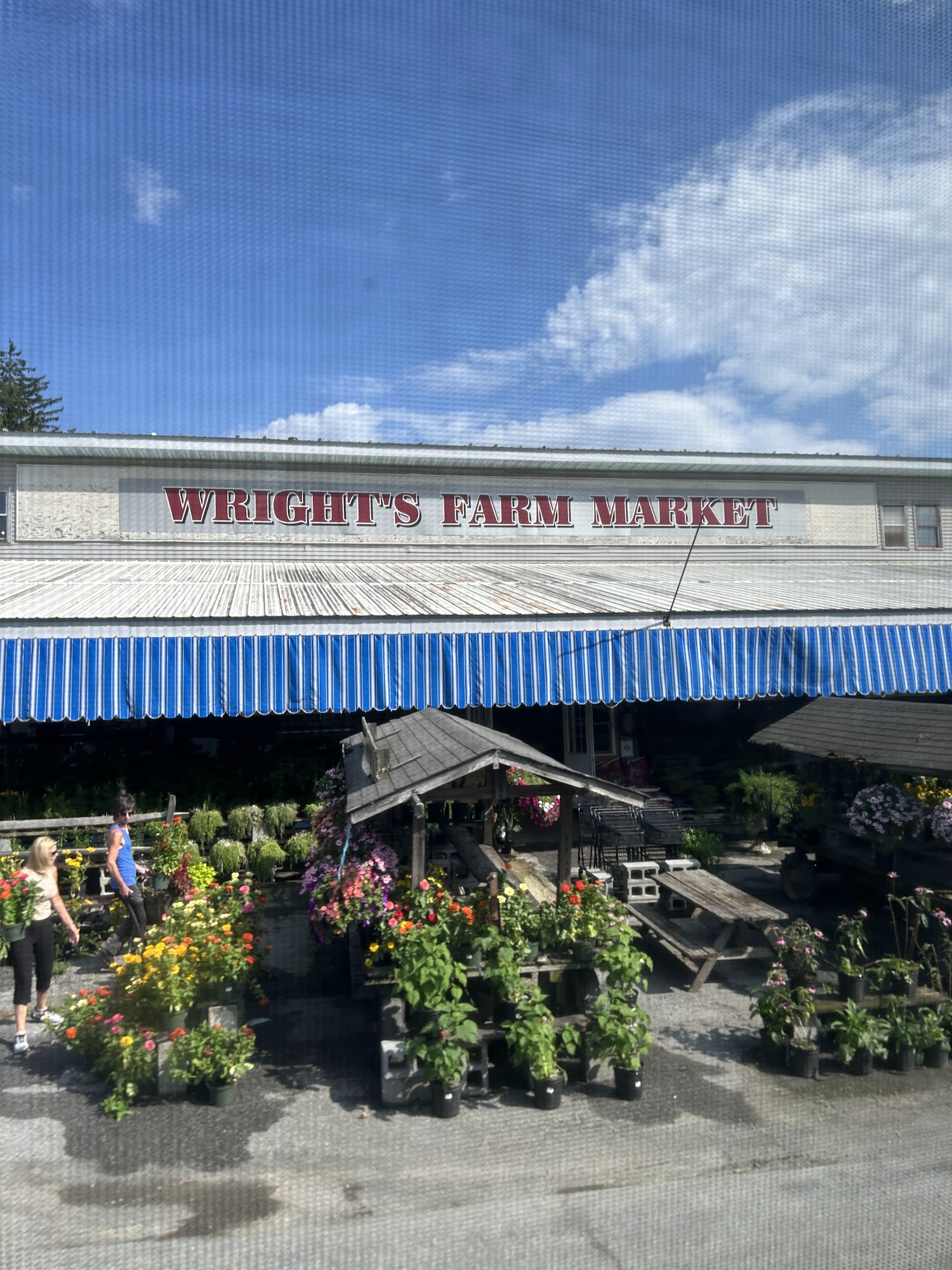 Wright's Farm and Market Gardiner