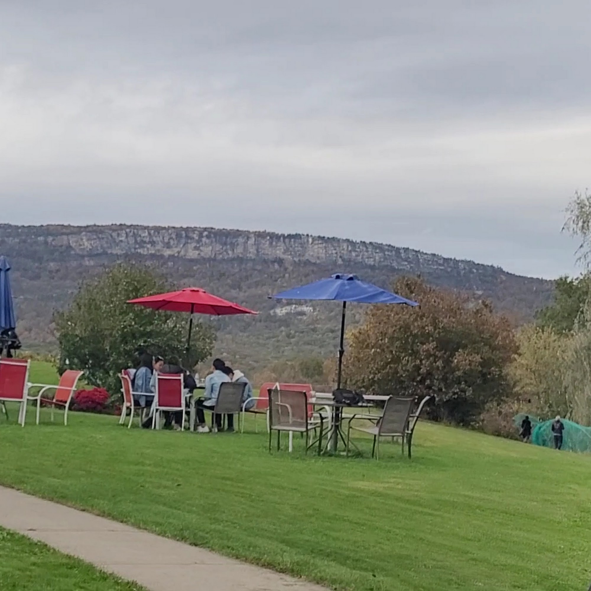 Whitecliff Vineyard & Winery Gardiner