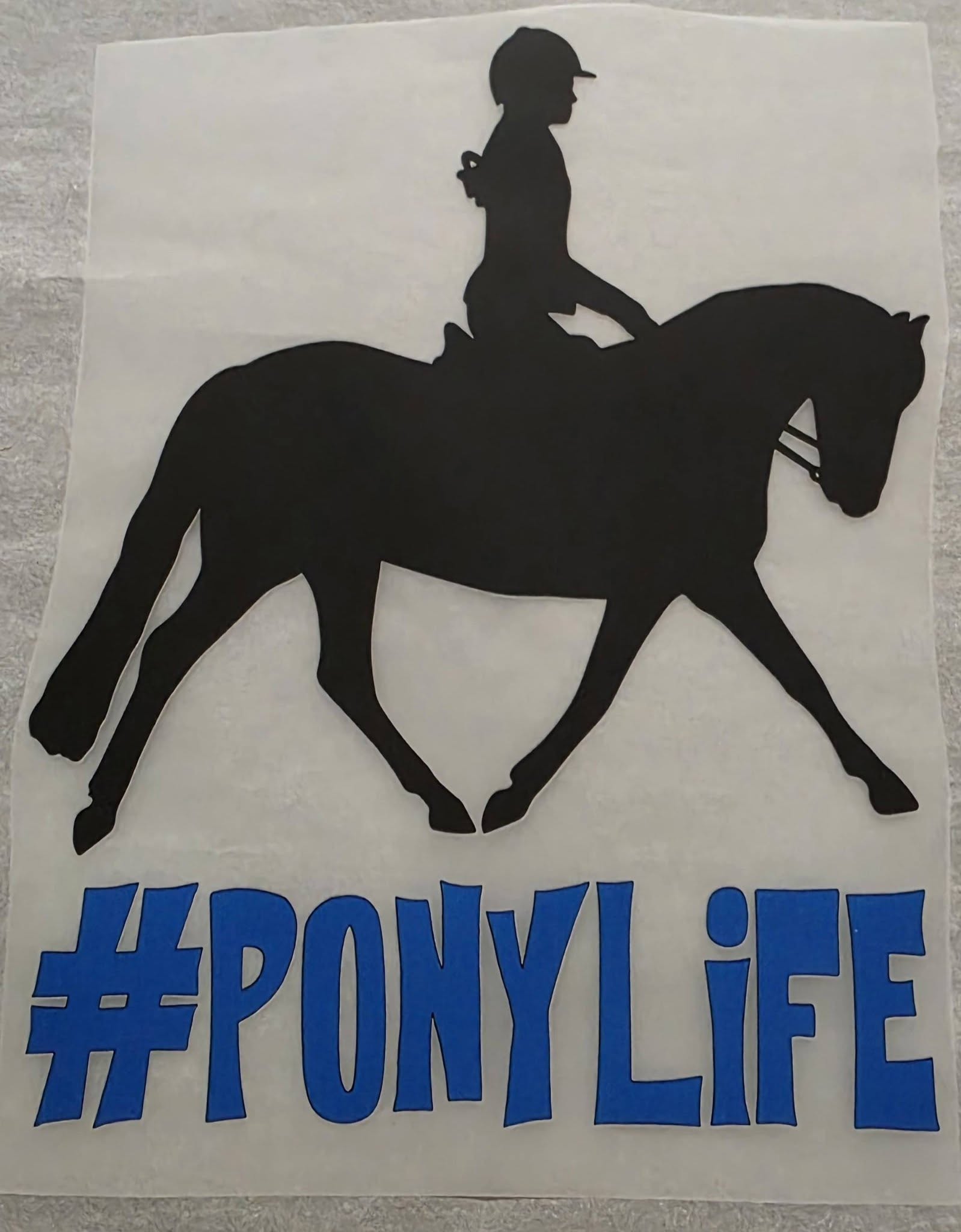 Mid Hudson Equine Vet Services