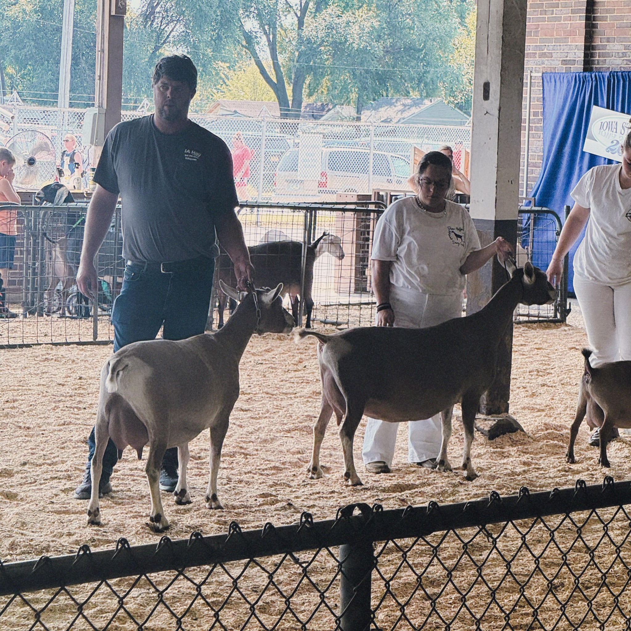 Pine Hollow Dairy LLC