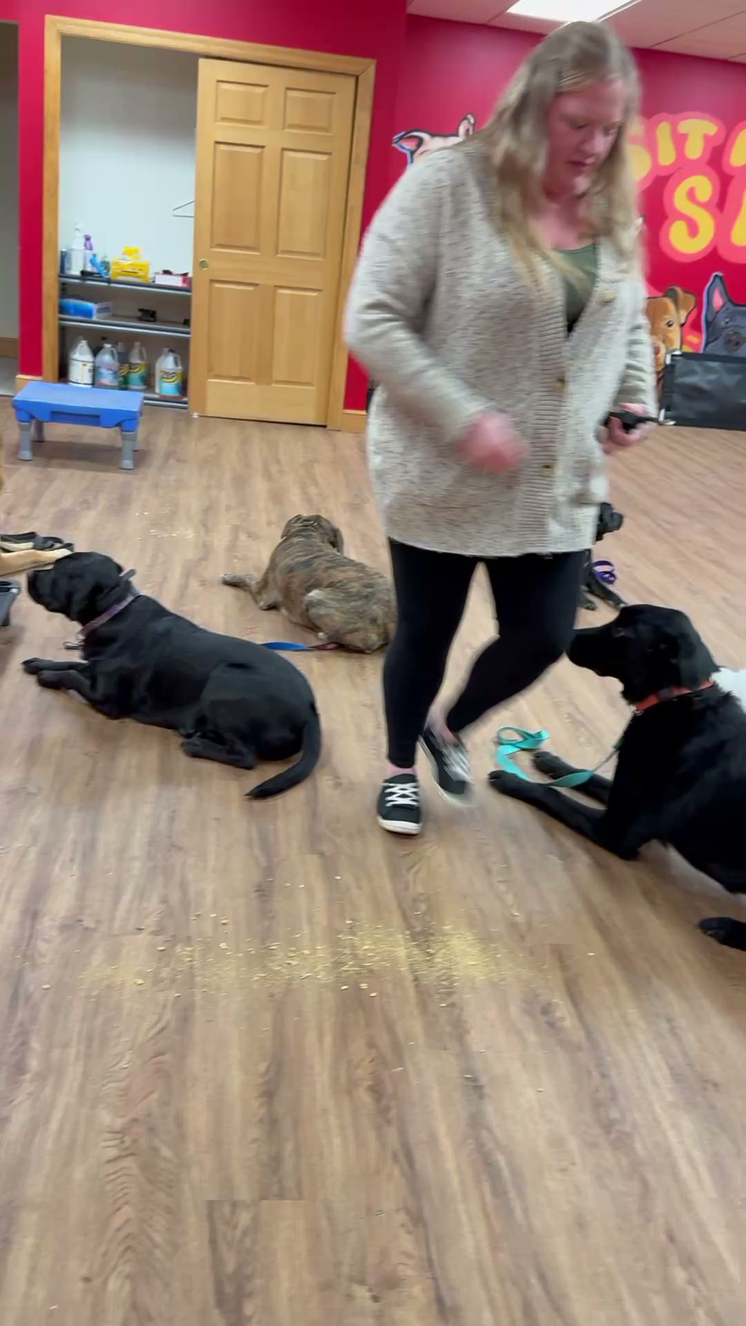 Sit Means Sit Buffalo Getzville