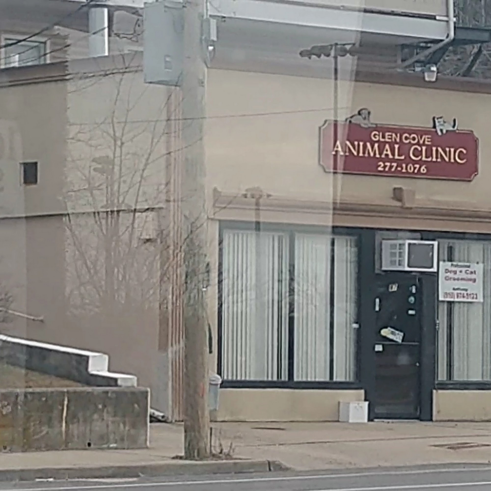 Glen Cove Animal Clinic Glen Cove