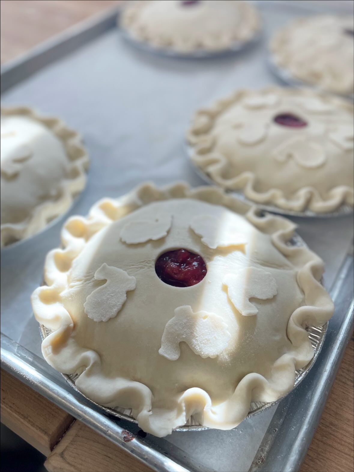 Youngs Farm Glen Head