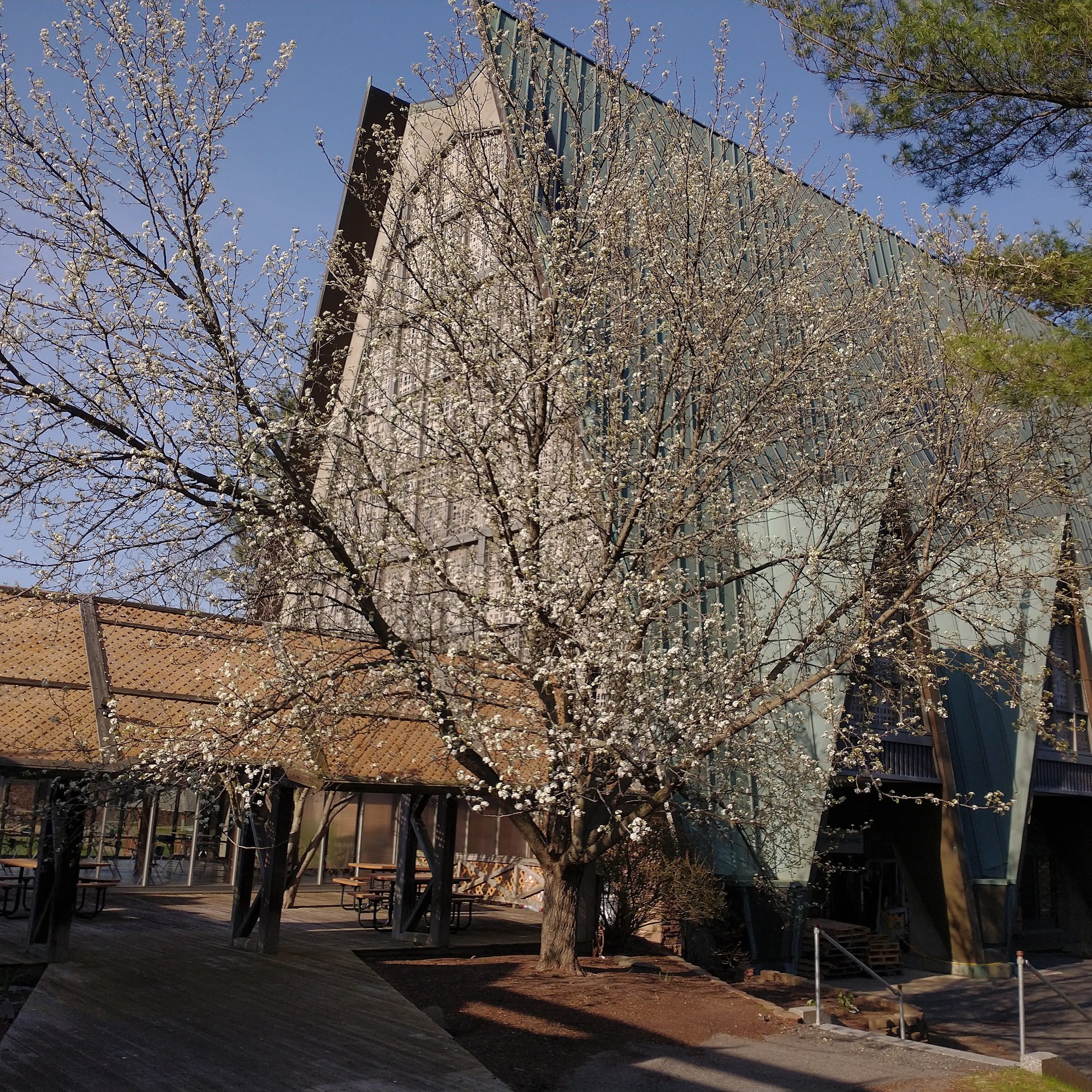 Glenmont Job Corps Center Glenmont