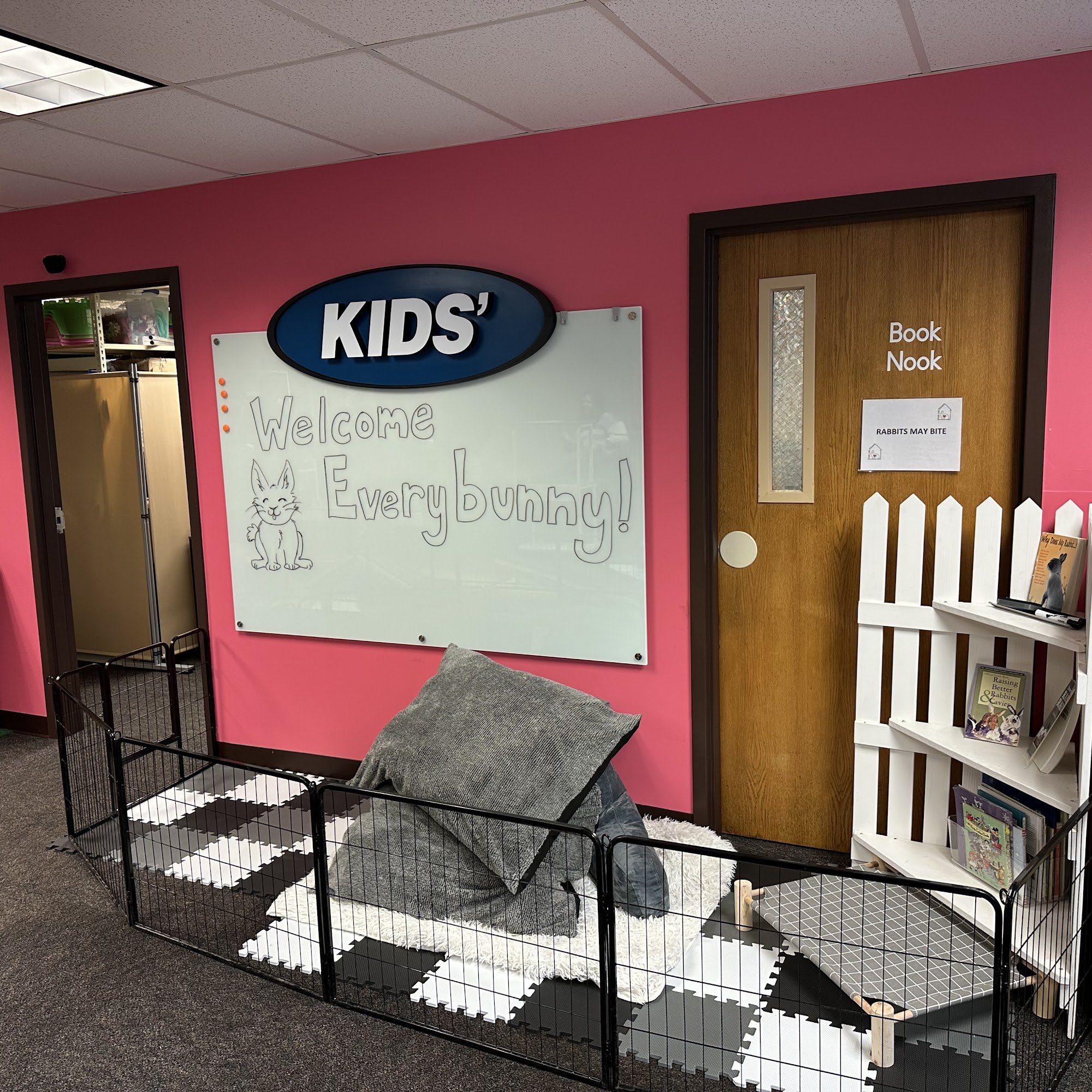 Hop On Home Rabbit Rescue Glens Falls