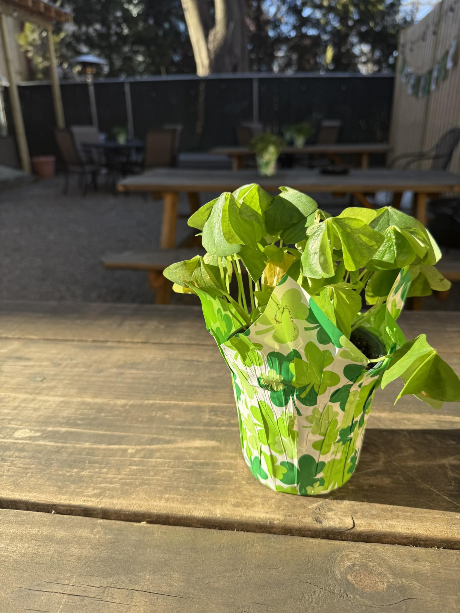 New Street Lounge Goshen