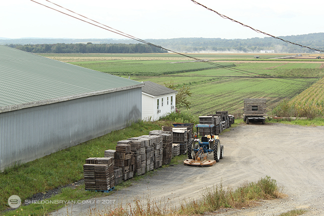 Orange County Distillery Goshen