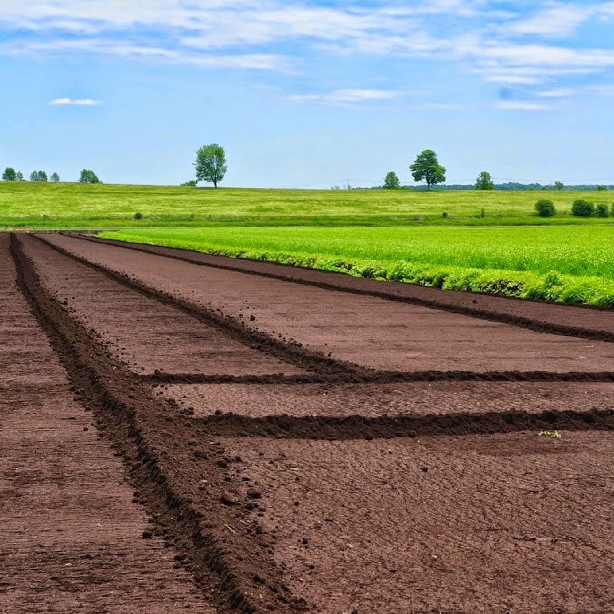 Orange County Distillery Goshen