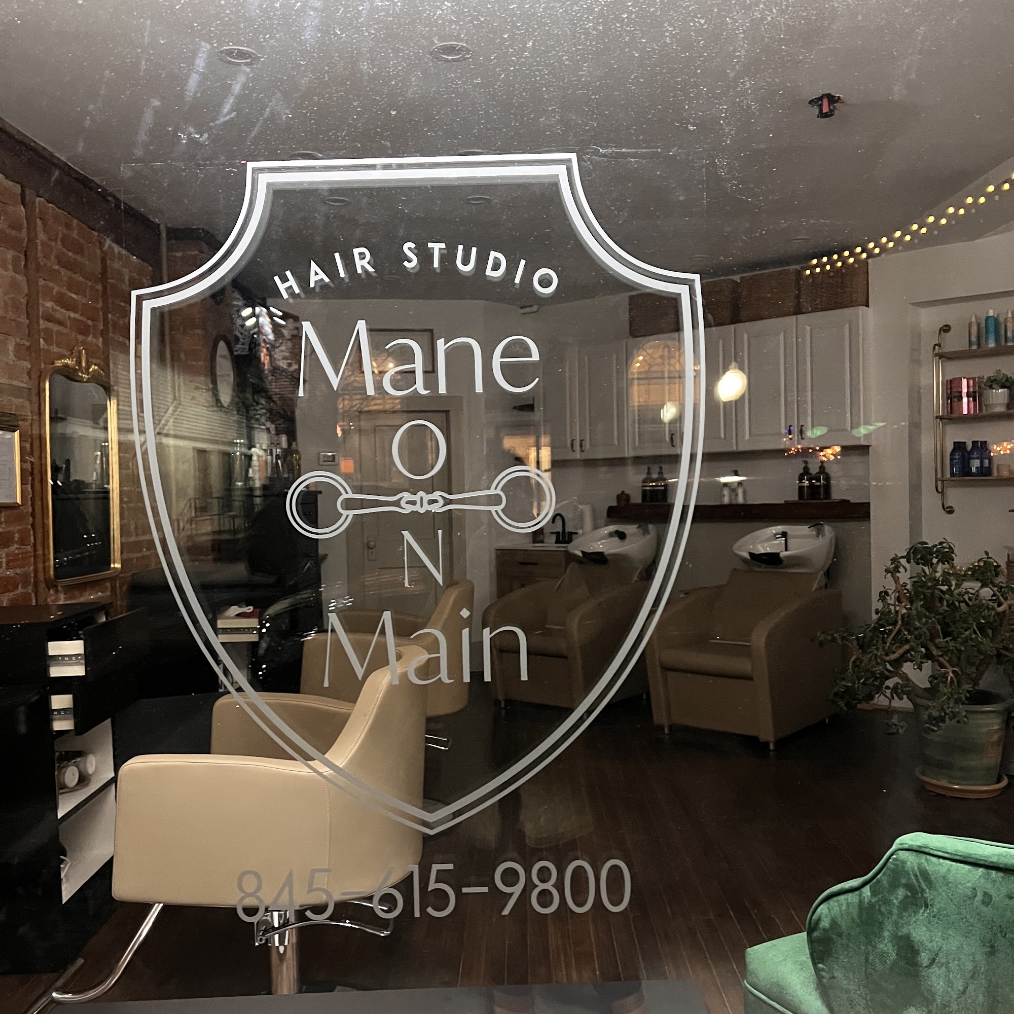 Mane On Main Hair Studio