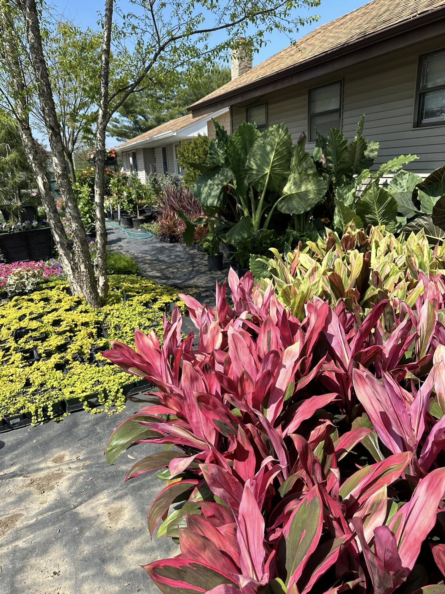 Schlick Landscaping Inc