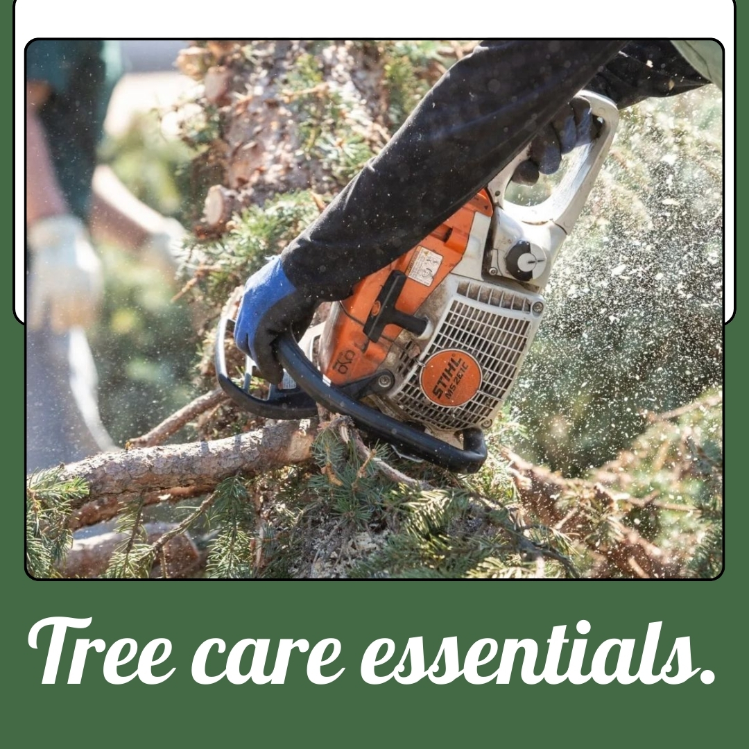 Holly Tree Service, Inc.