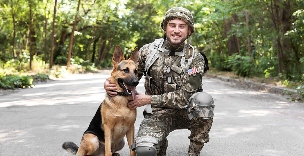 The Barksville Inn Groton