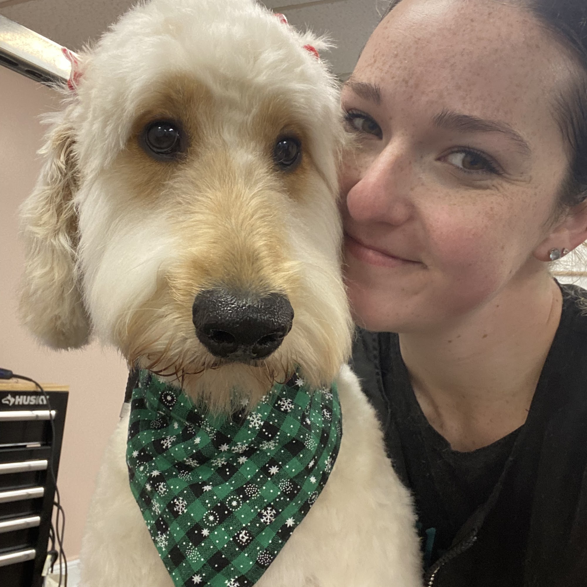 The Detailed Dog Guilderland