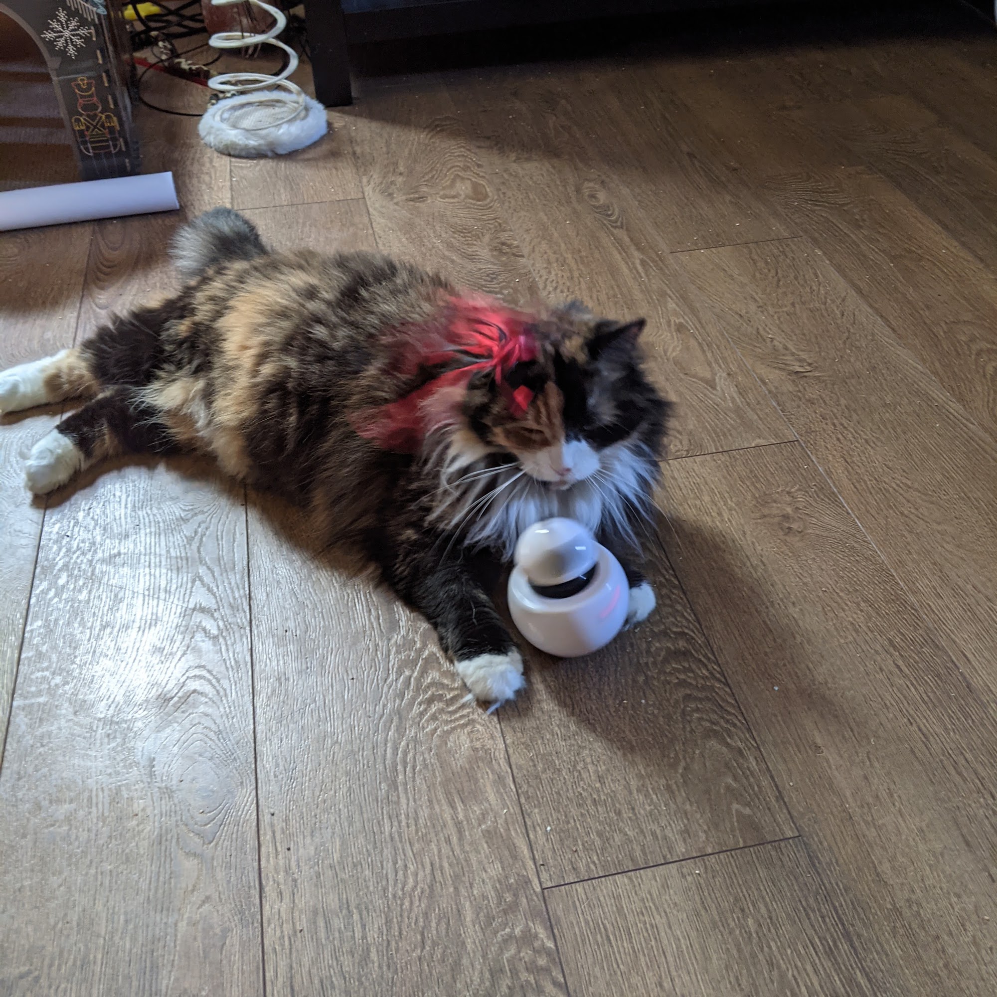 Tillou Veterinary Hospital Hamburg