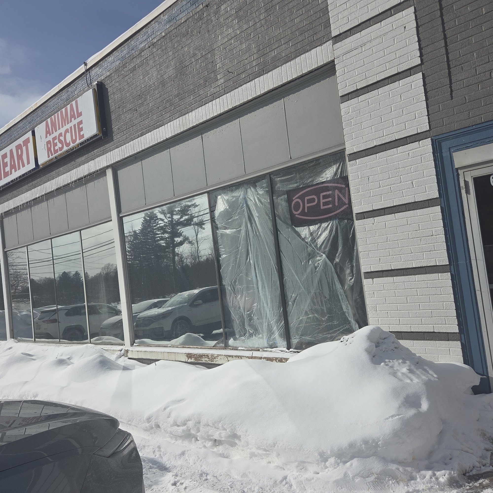 HEART Animal Rescue & Adoption Team Hamburg