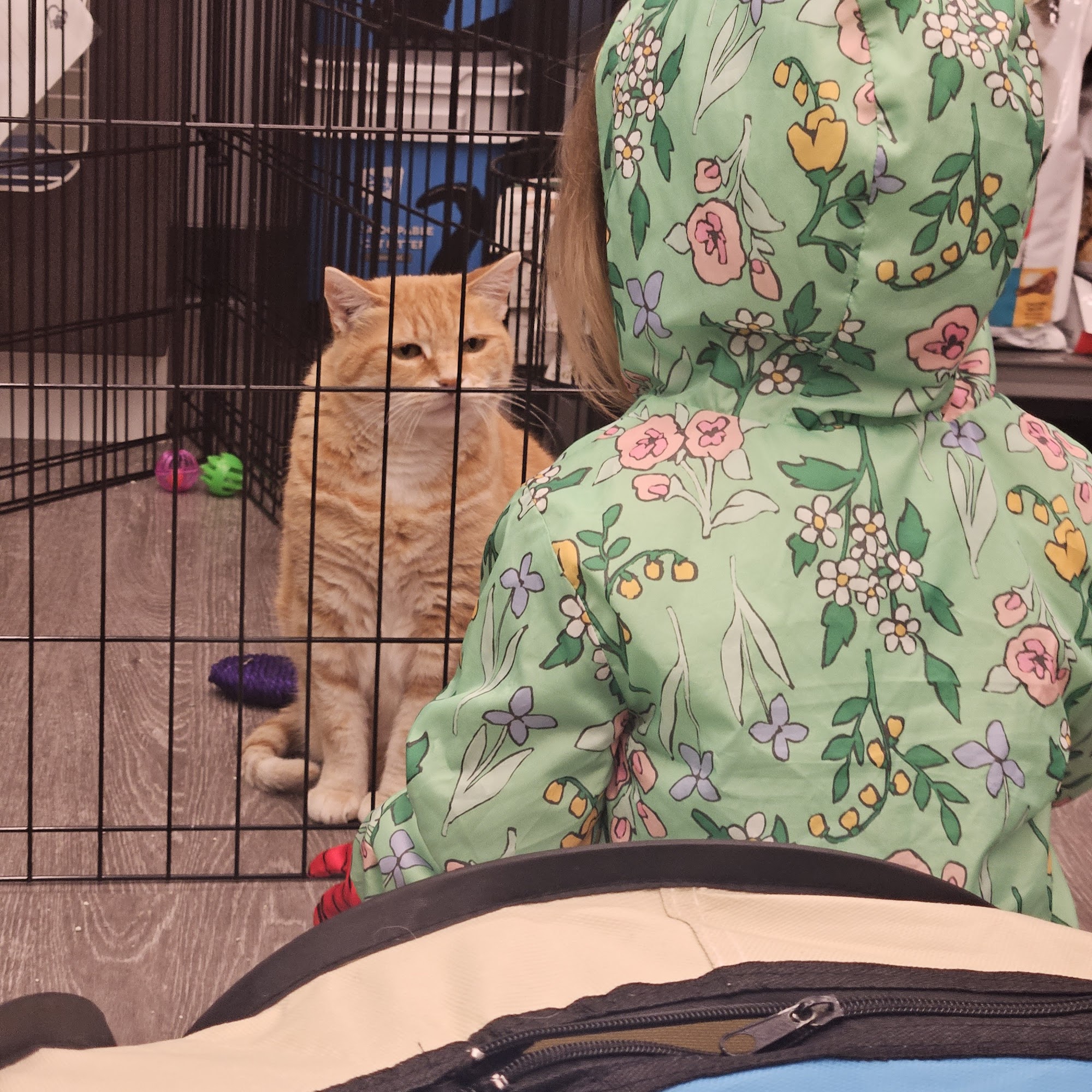 Pet Supplies Plus Hamburg Hamburg