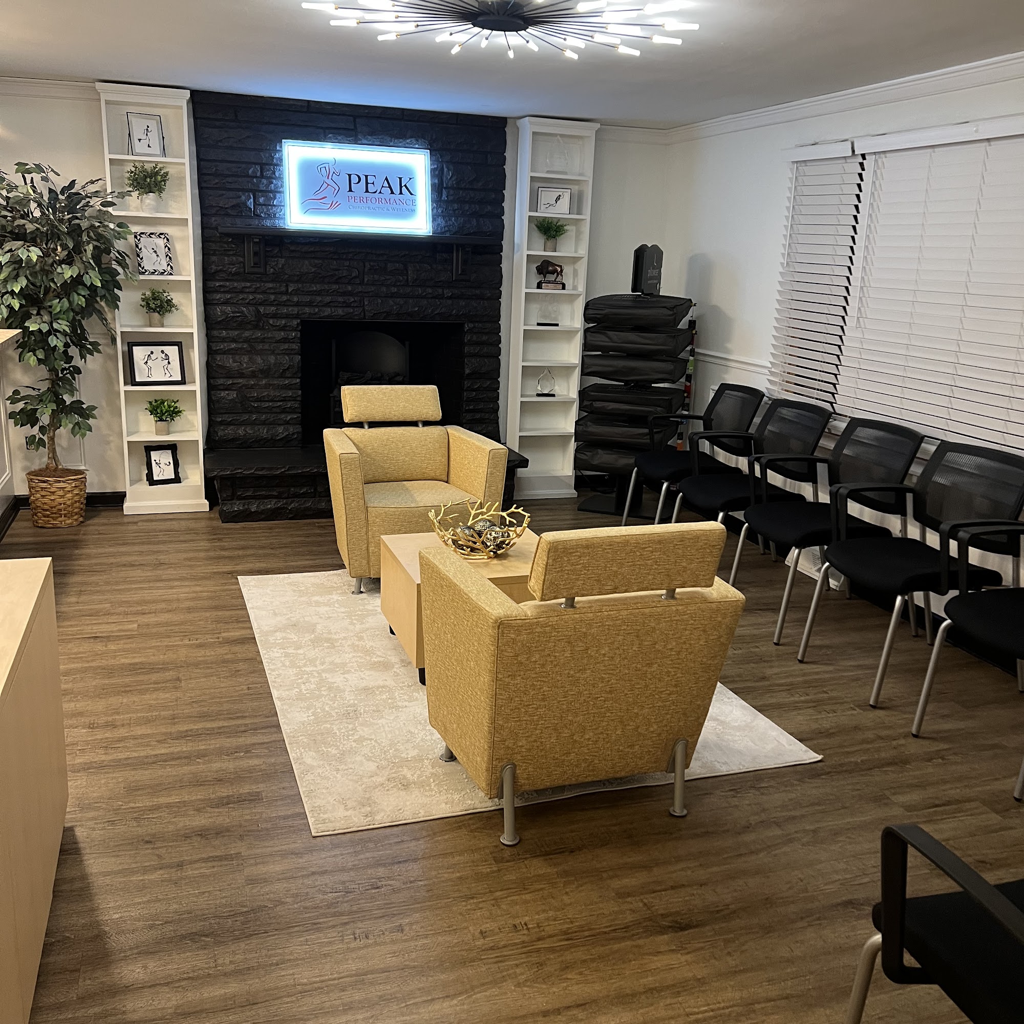 Peak Performance Chiropractic & Wellness