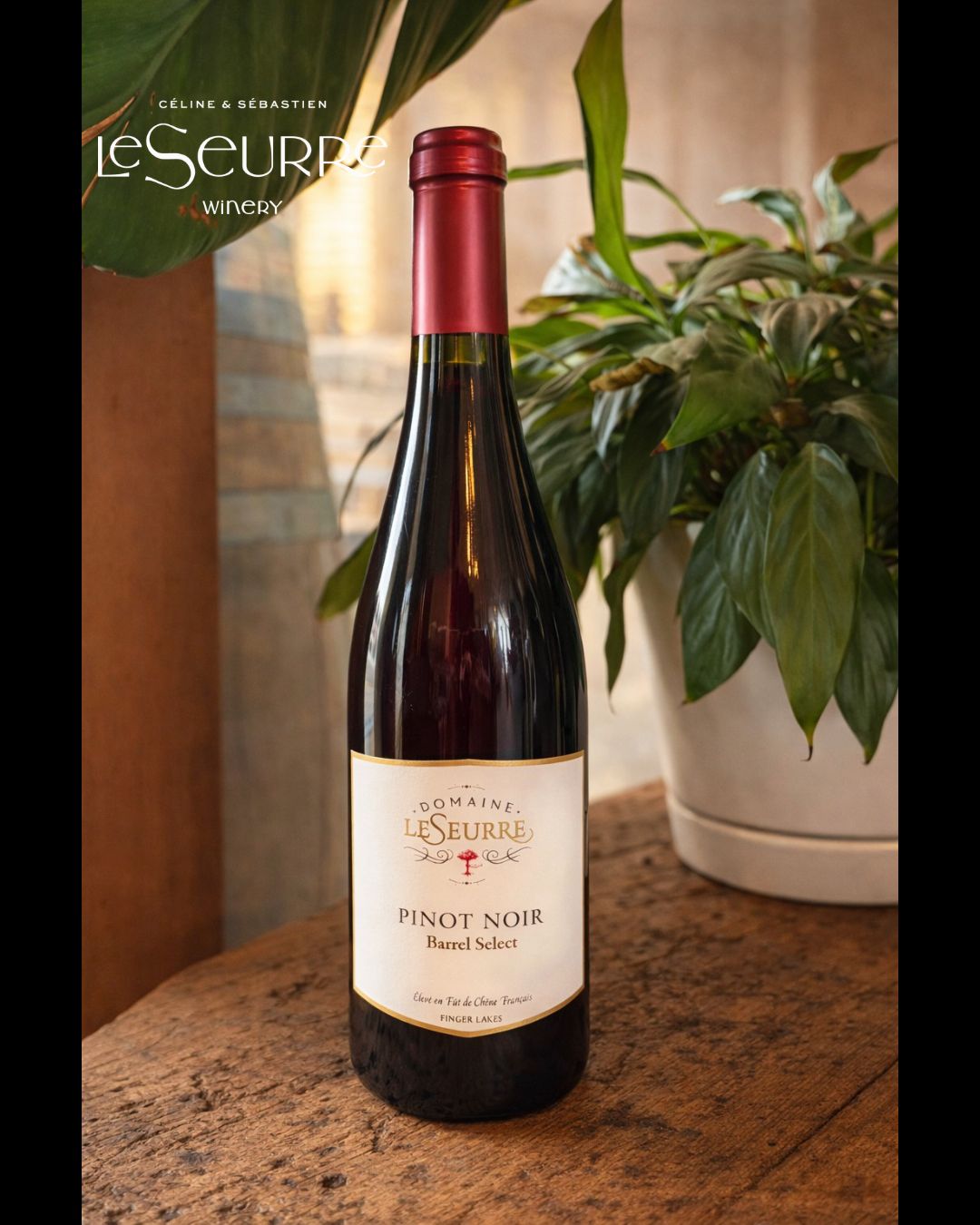 Domaine Leseurre Winery Hammondsport