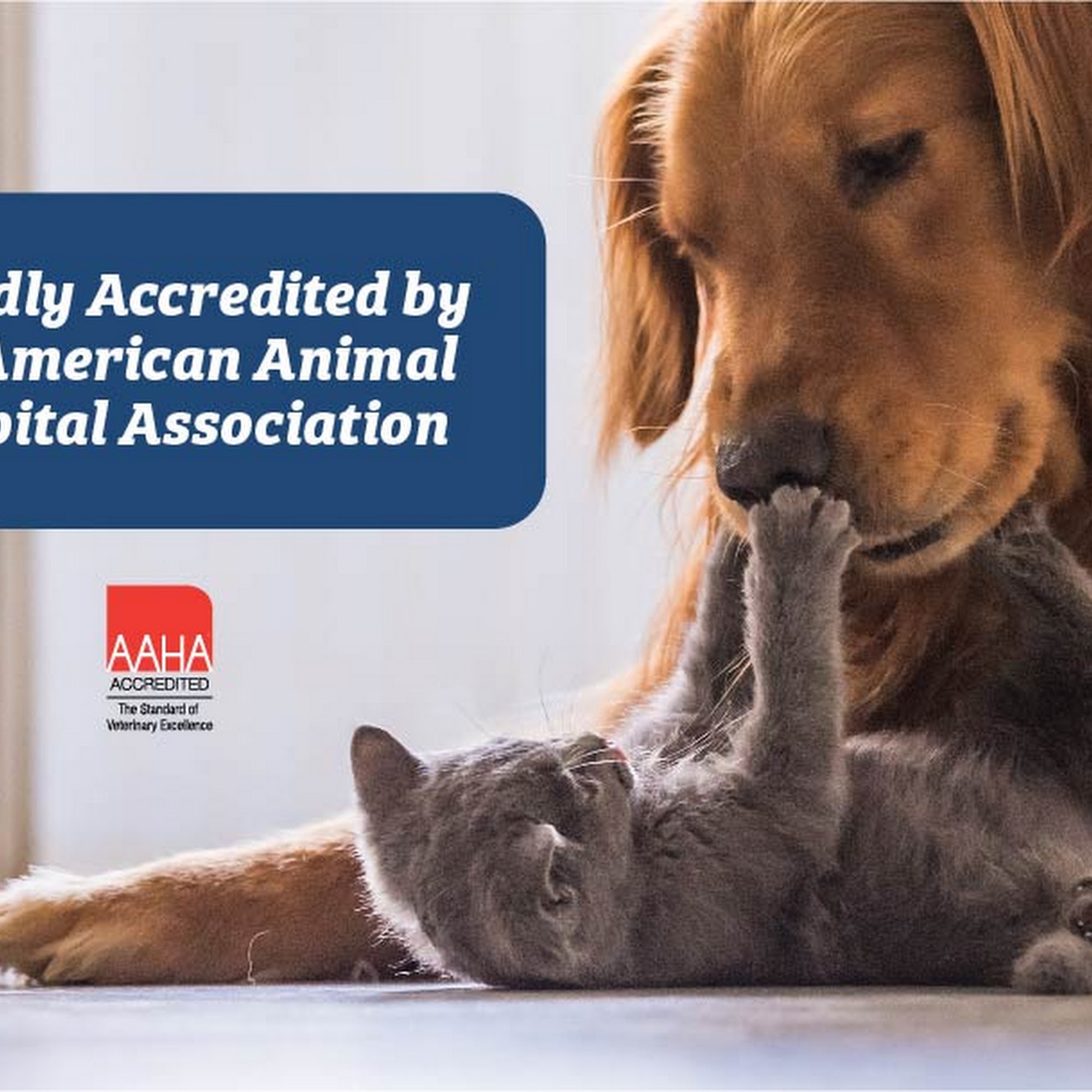 Shinnecock Animal Hospital Hampton Bays