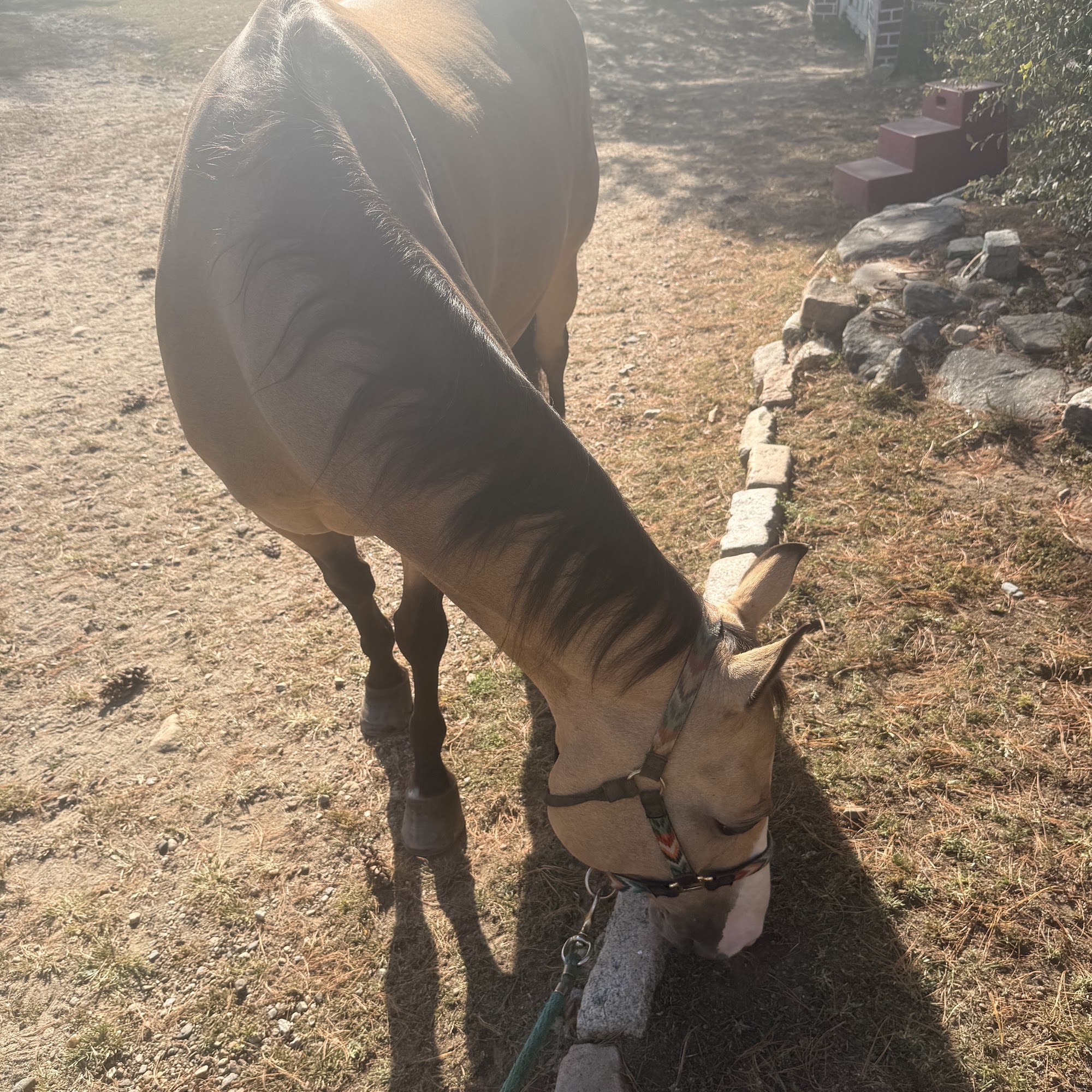 600 Mamaroneck Associates LLC 600 Mamaroneck Ave, Harrison New York 10528