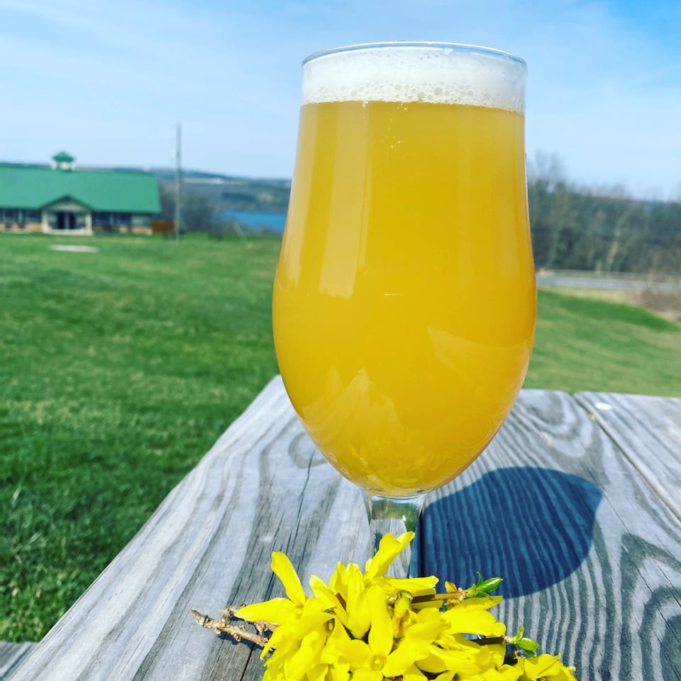 Lucky Hare Brewing Company Hector