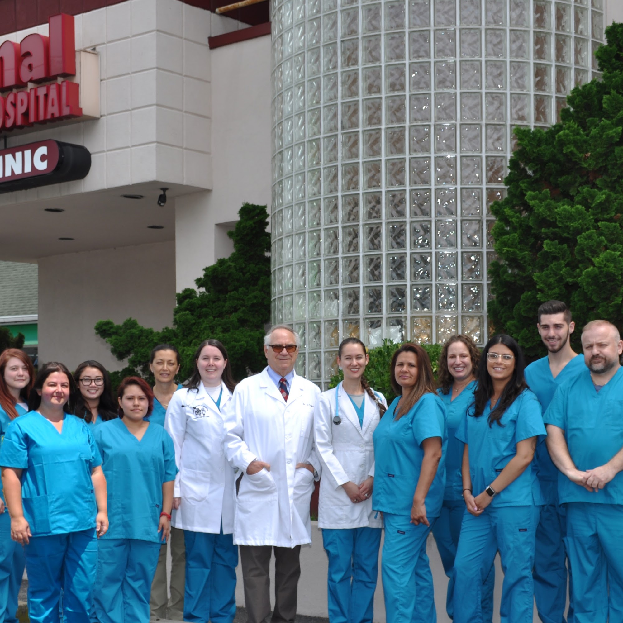 Animal Medical Hospital Hempstead