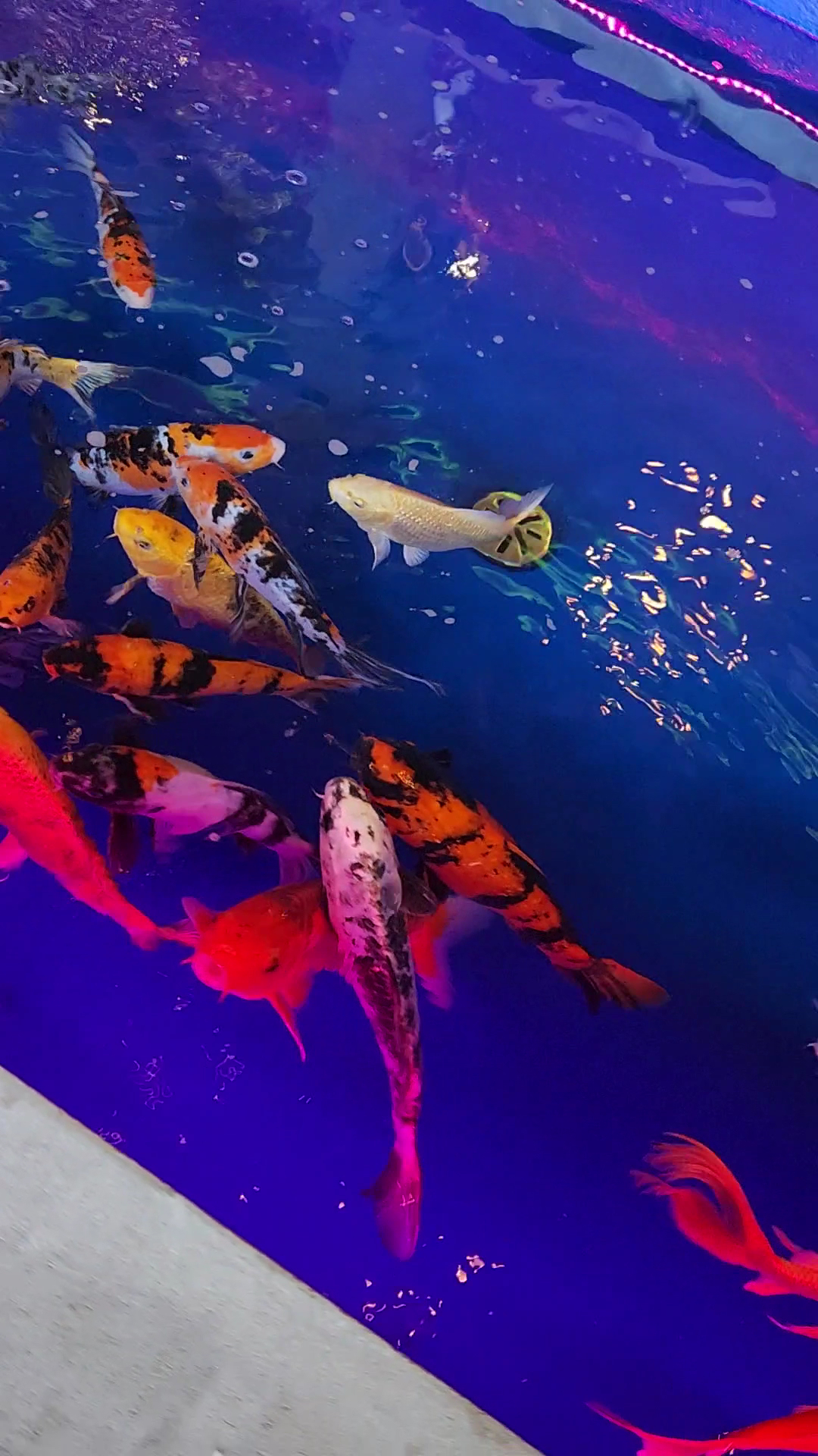 Jade Eatery and Lounge Hicksville