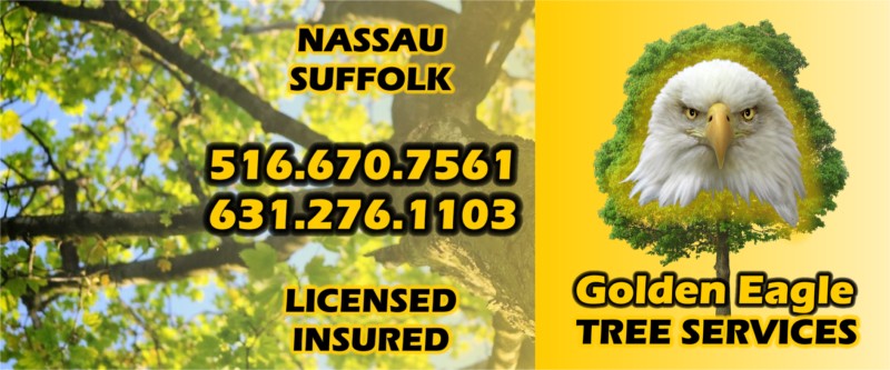 Golden Eagle Tree Service and Construction