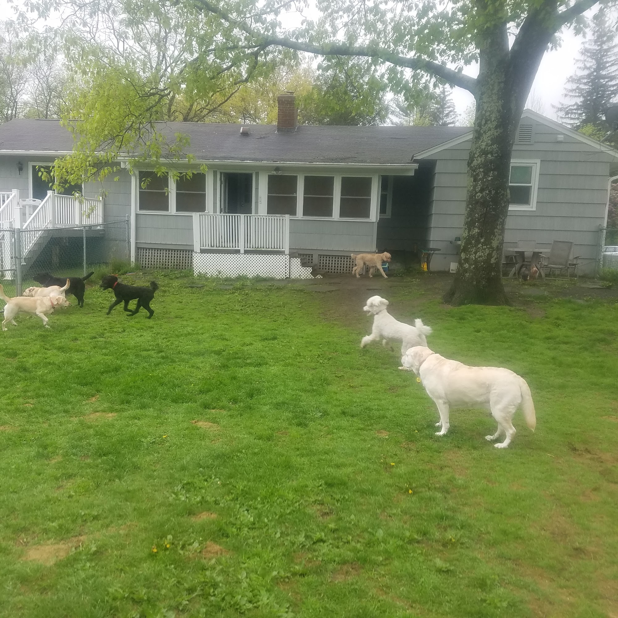 The Playyard and Home Hillsdale