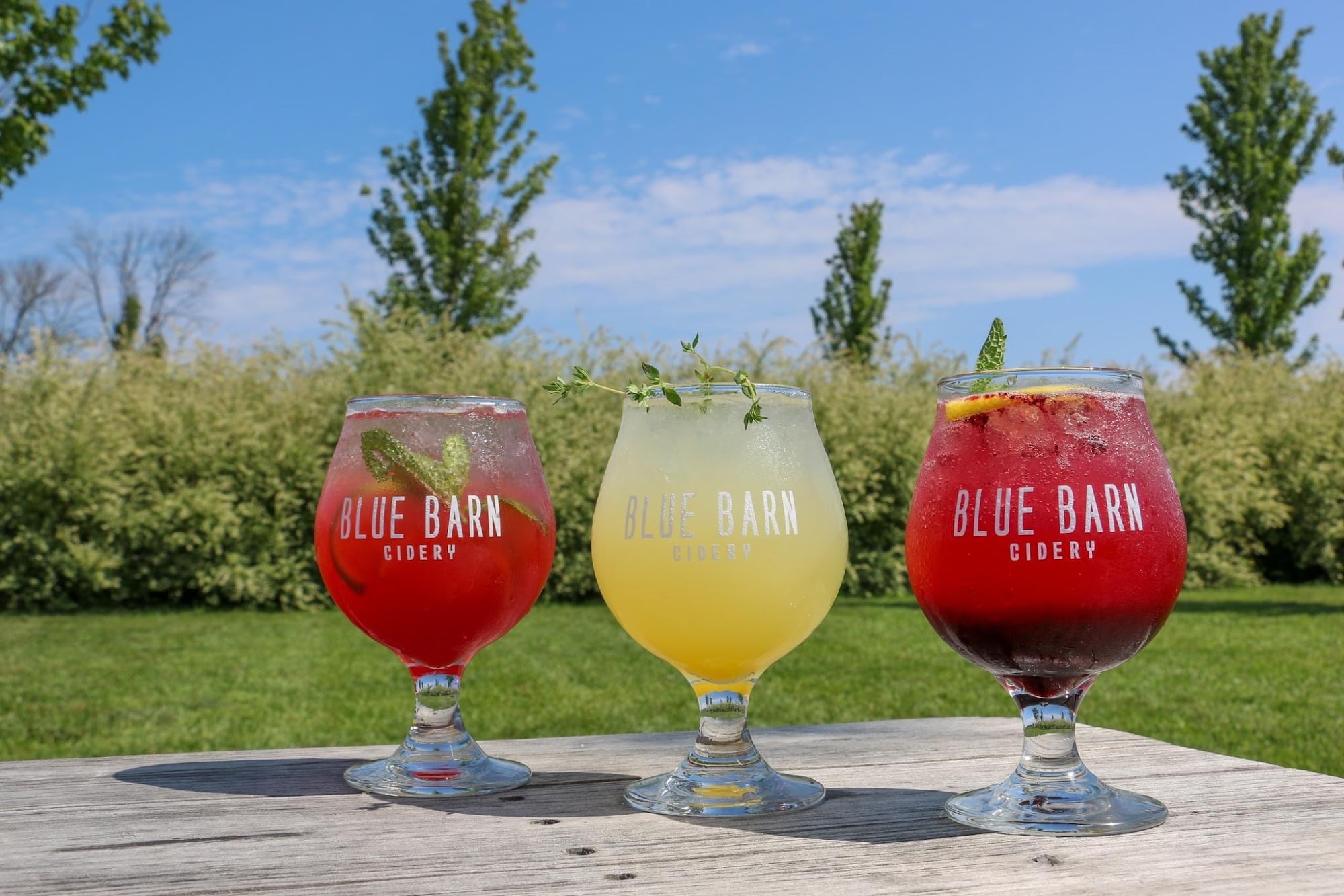 Blue Barn Cidery Hilton