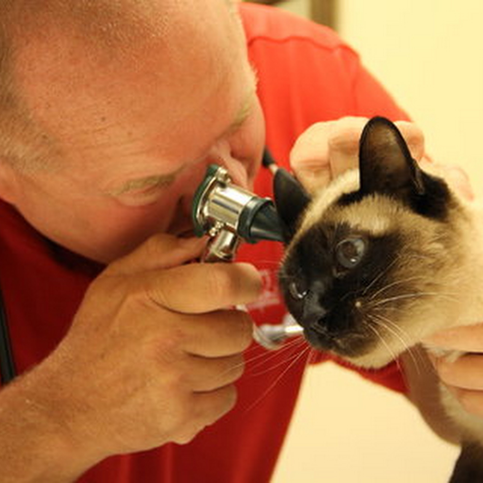 Apple Country Veterinary Hospital Hilton