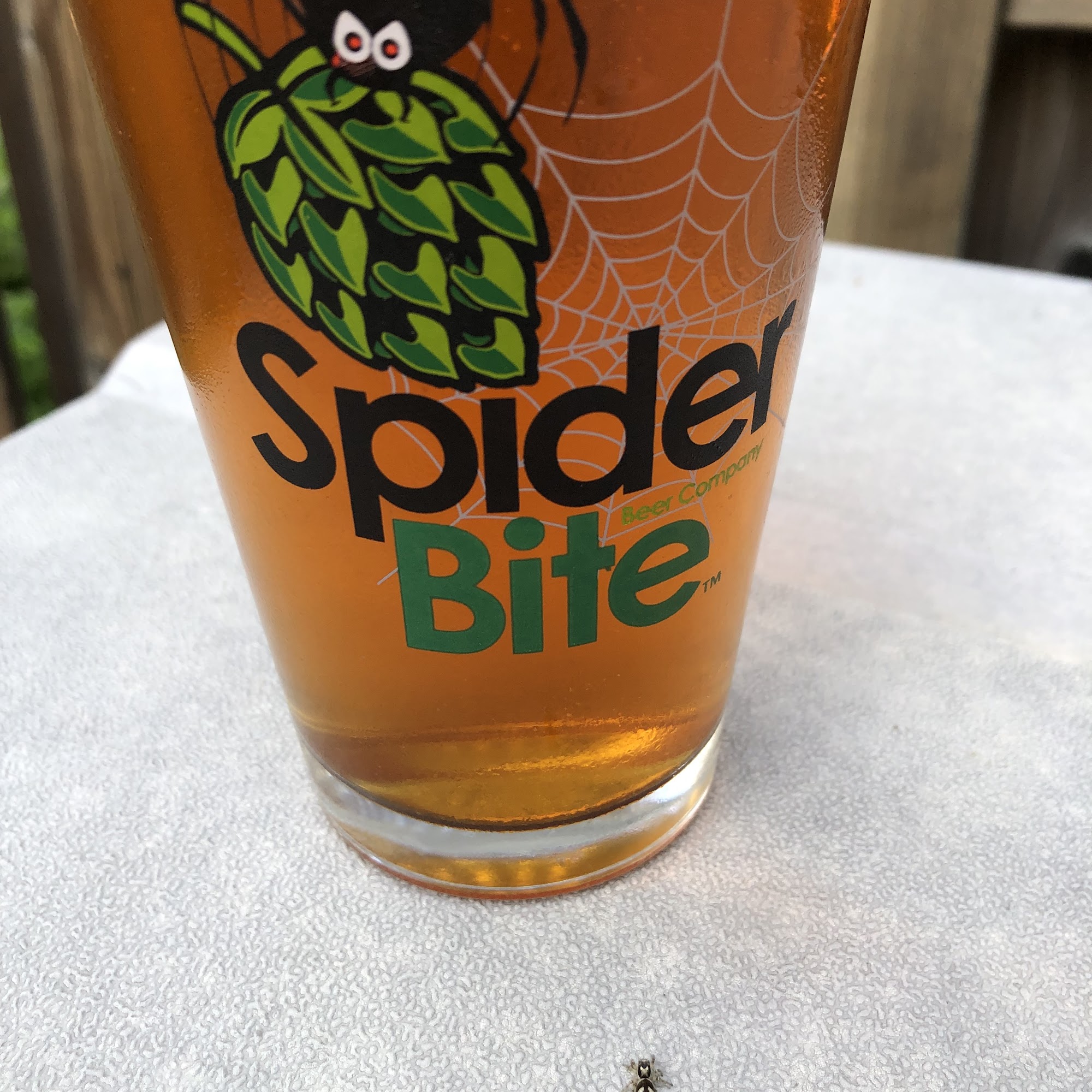 Spider Bite Beer Co Holbrook