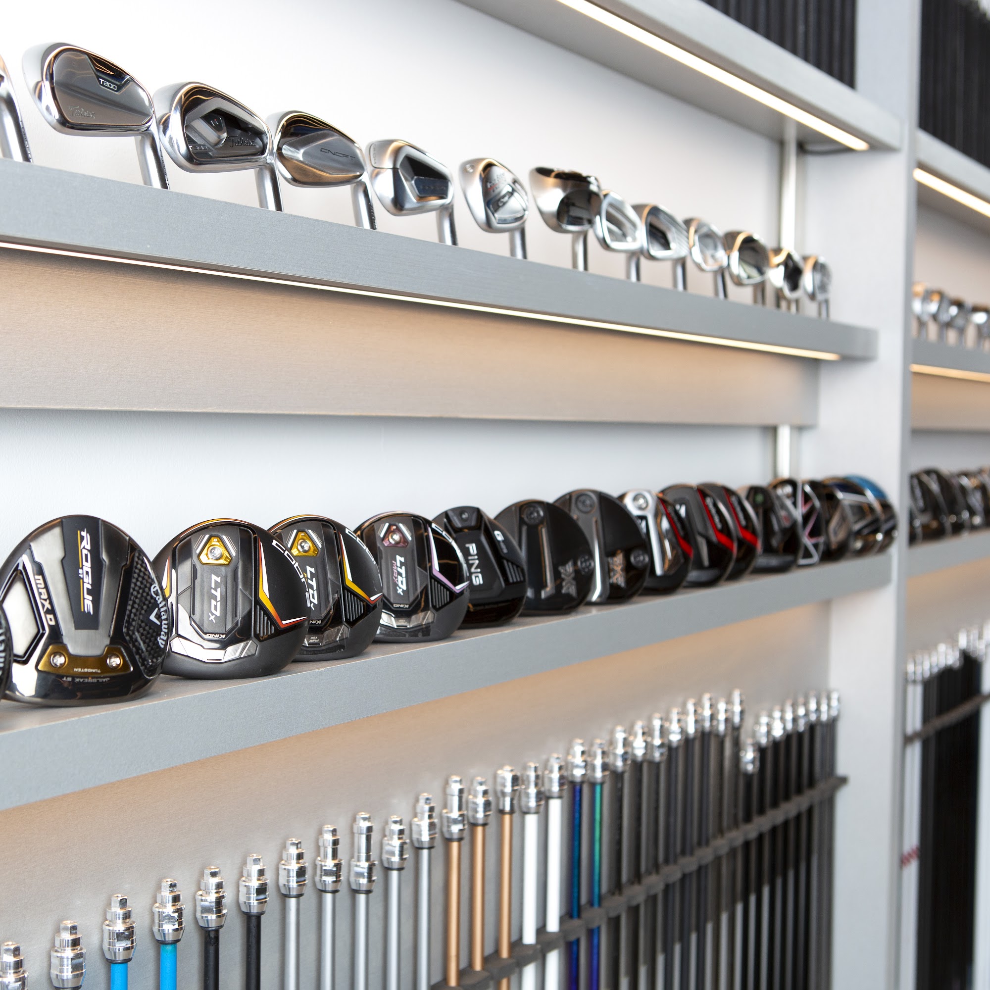 Club Champion Holbrook