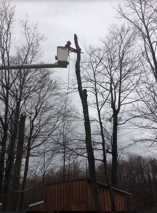 Photo credit: nextdoor