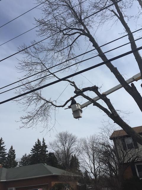 Photo credit: nextdoor