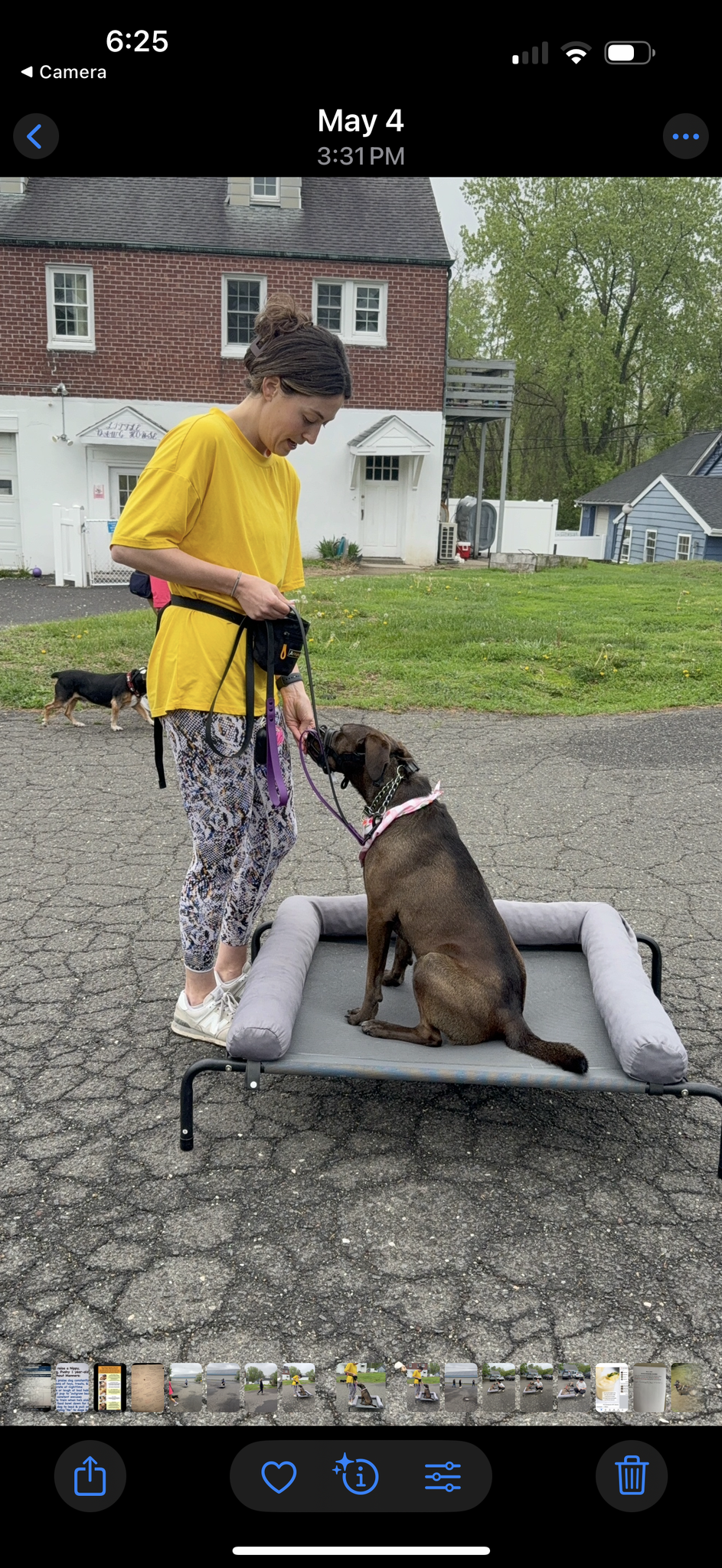 KV Dog Training Hopewell Junction