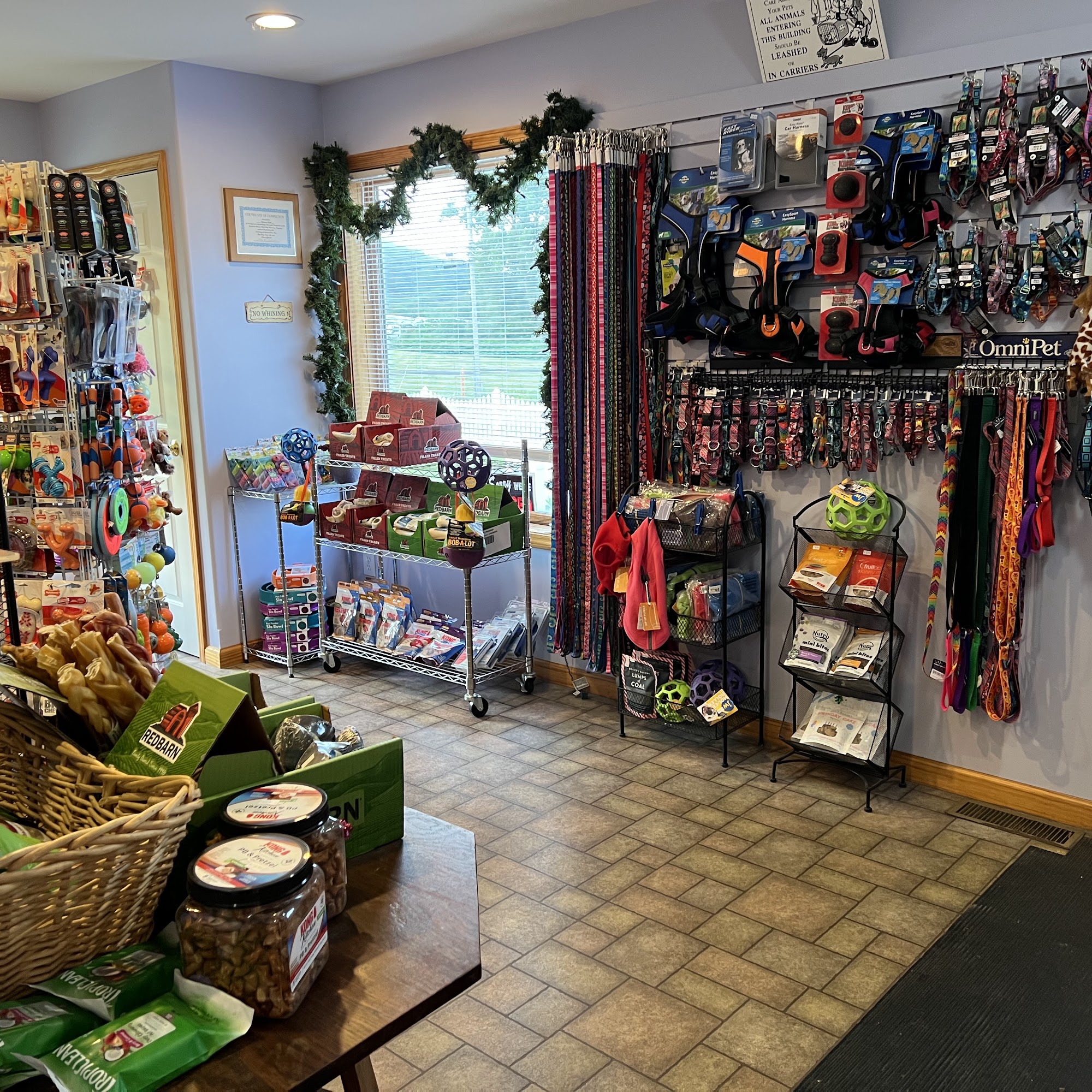 Hair & the Hound Hornell