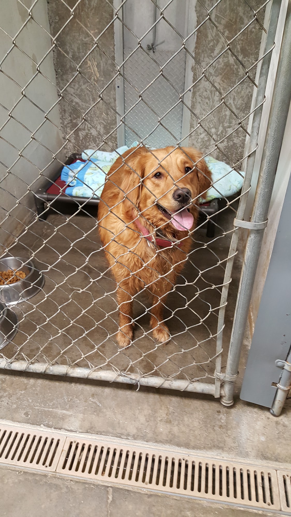 Hornell Area Humane Society Hornell