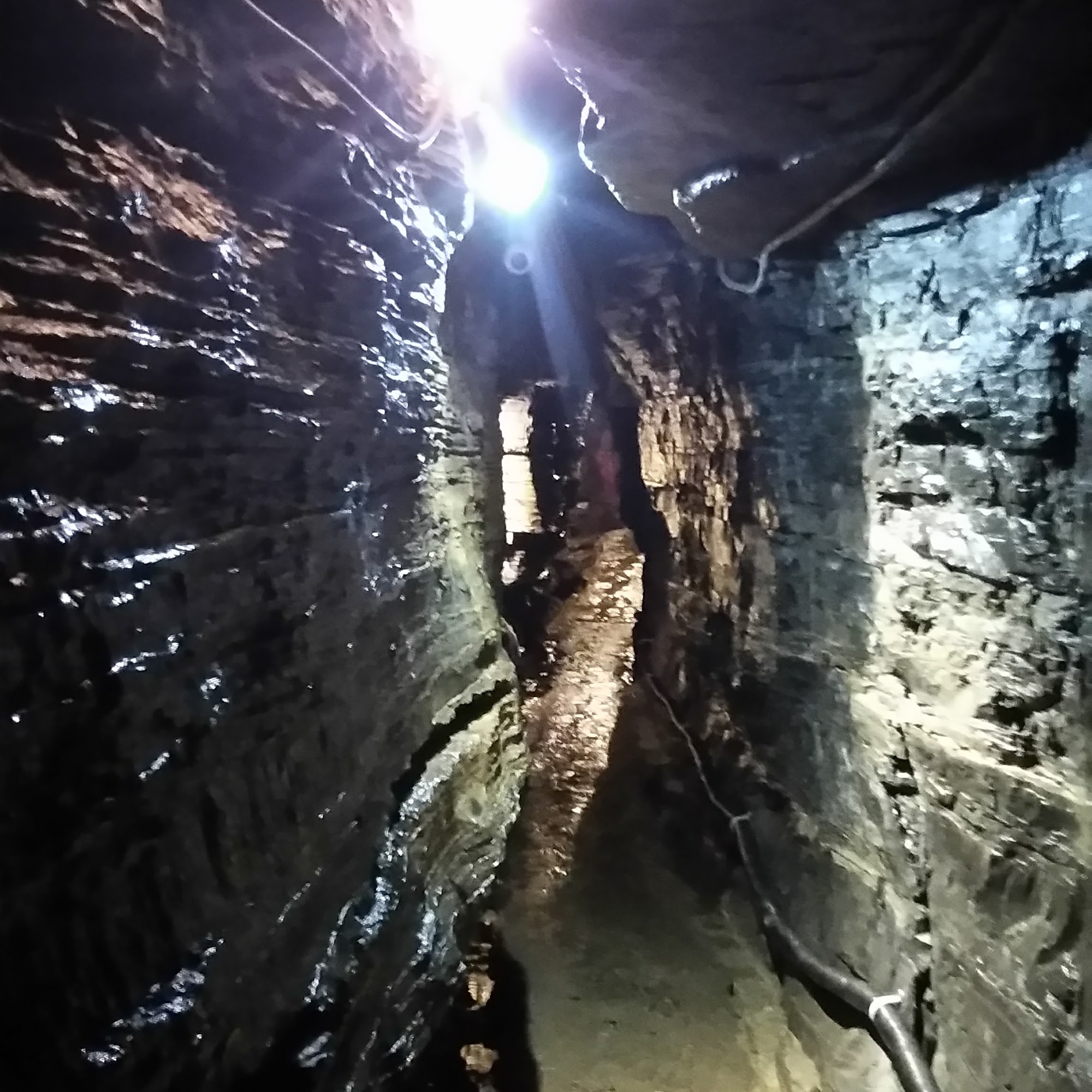 Dr. Tiffany Bonsell Howes Cave