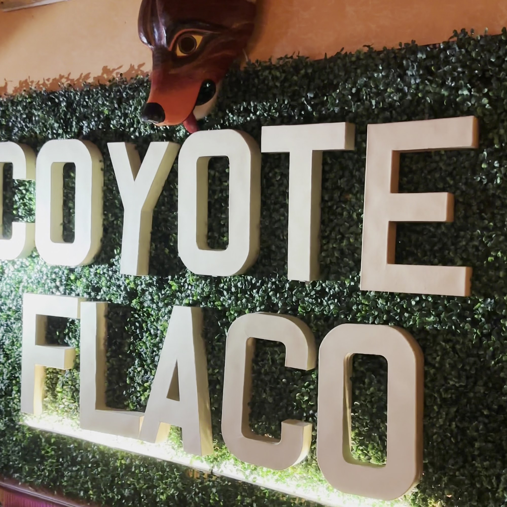Coyote Flaco Mexican Bistro Hudson